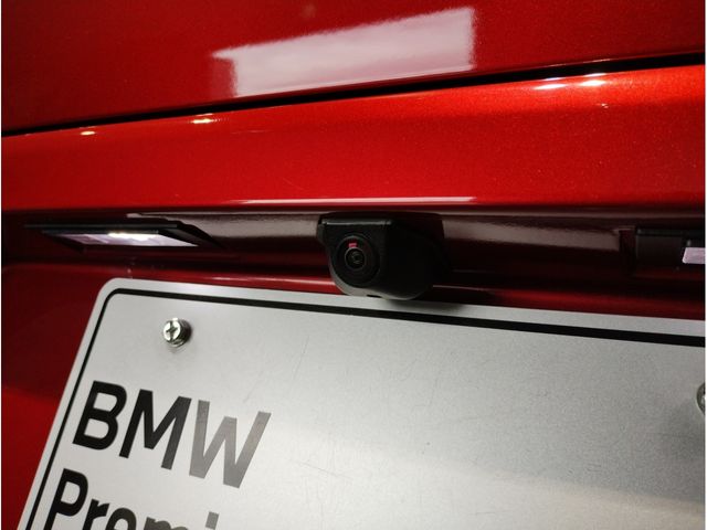 Bmw X4 2020-10 18272-9