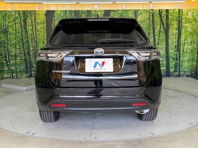 Toyota HARRIER 2014-01 10308-16
