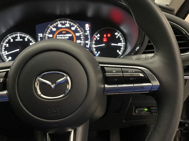 Mazda MAZDA3 2020-09 11032-24