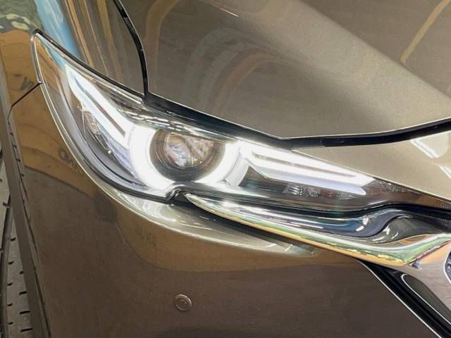 Mazda CX-8 2021-01 21934-13