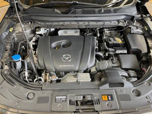 Mazda CX-8 2021-01 21934-19