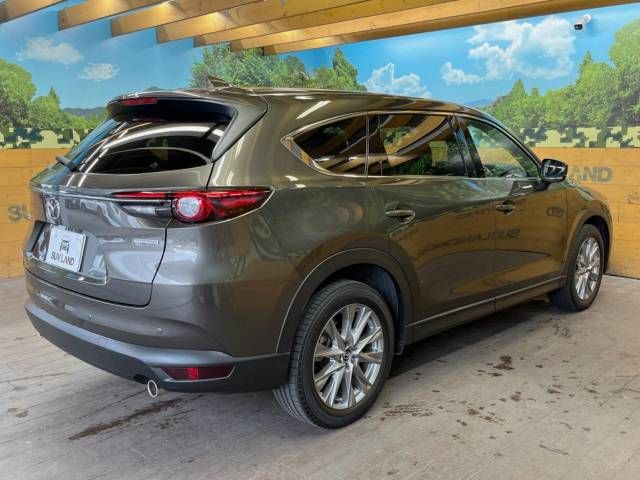 Mazda CX-8 2021-01 21934-18