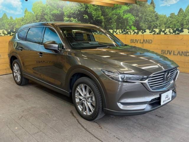 Mazda CX-8 2021-01 21934-17
