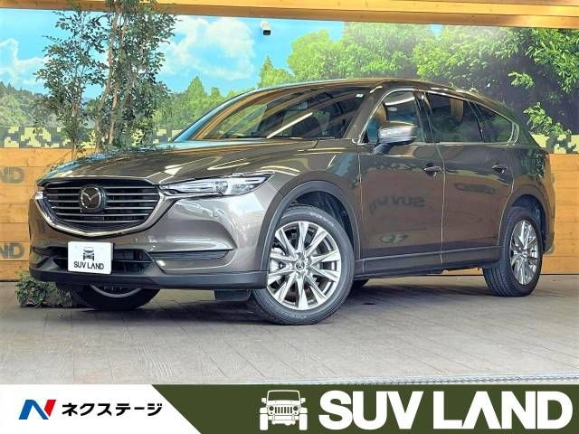 Mazda CX-8 2021-01 21934-0