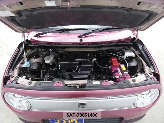 Suzuki LAPIN 2015-11 305641-15