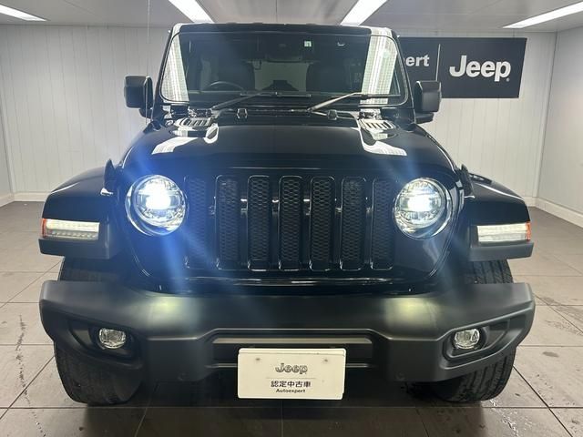 Jeep WRANGLER 2021-06 21042-3