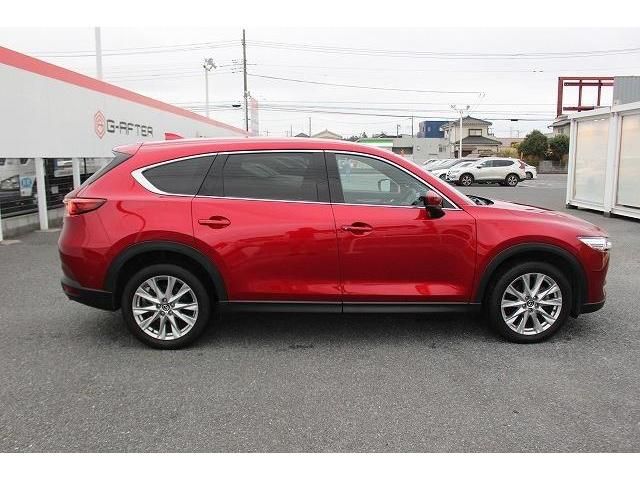 Mazda CX-8 2018-01 195085-8
