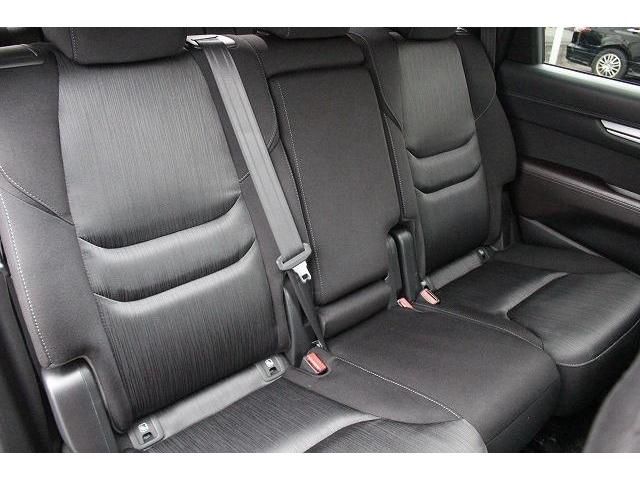 Mazda CX-8 2018-01 195085-13