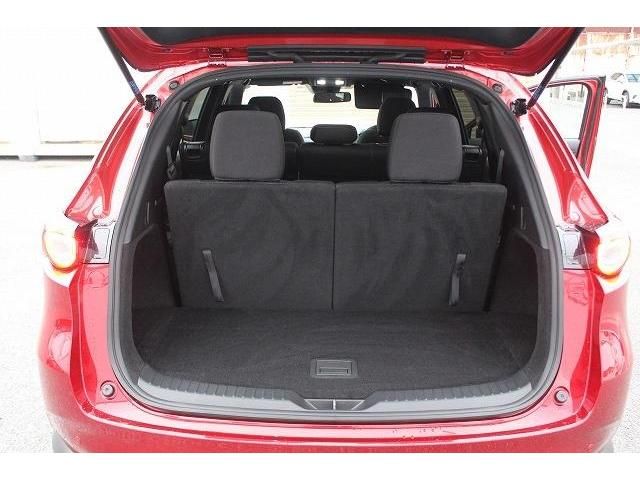 Mazda CX-8 2018-01 195085-16