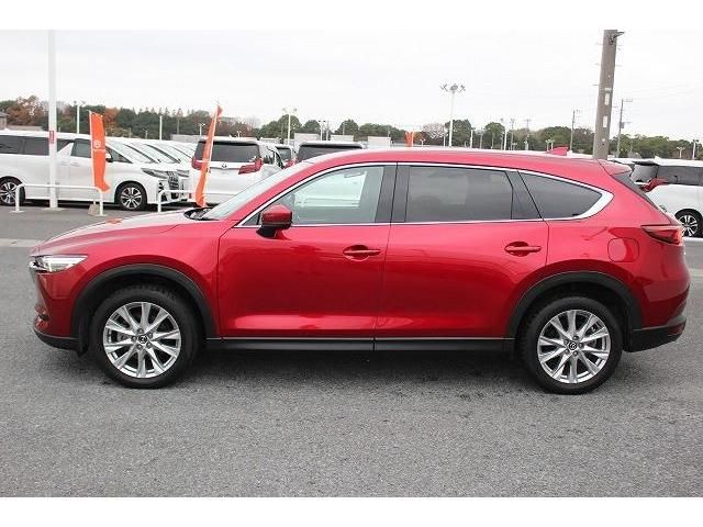 Mazda CX-8 2018-01 195085-6