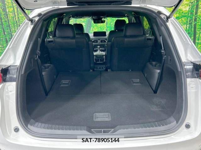 Mazda CX-8 2021-07 268652-12