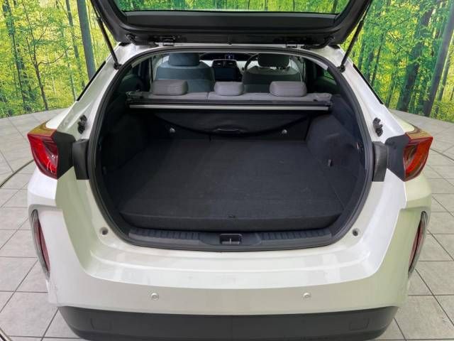 Toyota PRIUS PHV 2020-01 183907-10