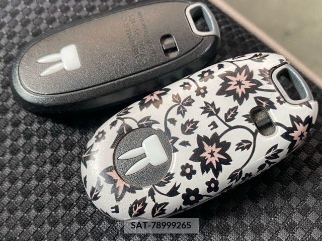 Suzuki LAPIN 2013-03 234898-11