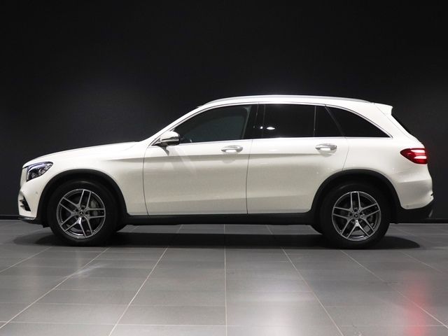 Mercedes Benz GLC-CLASS 2019-01 196539-15