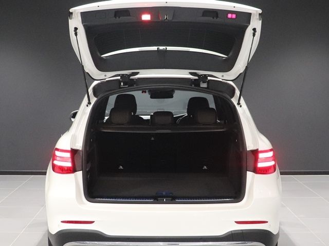 Mercedes Benz GLC-CLASS 2019-01 196539-16