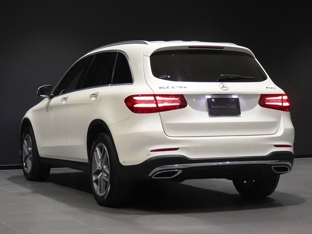 Mercedes Benz GLC-CLASS 2019-01 196539-13