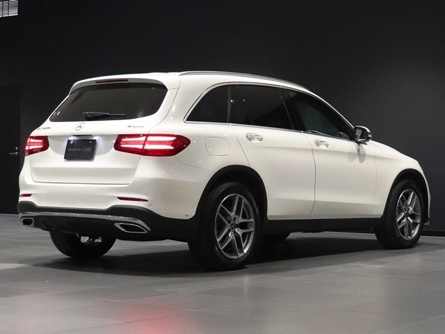 Mercedes Benz GLC-CLASS 2019-01 196539-10