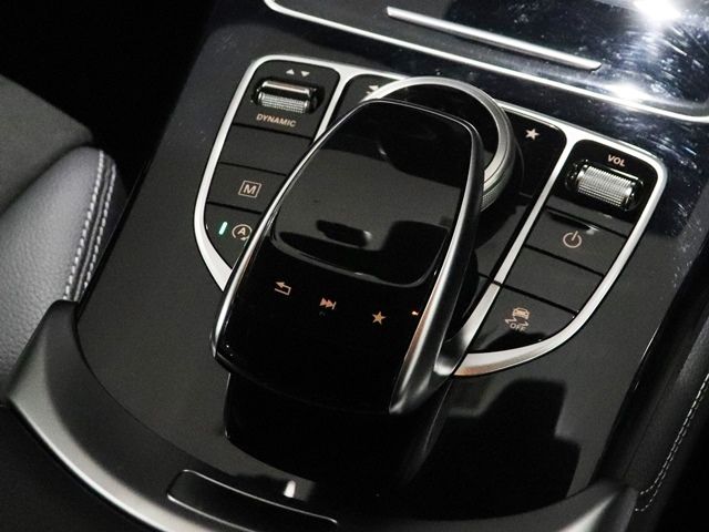 Mercedes Benz GLC-CLASS 2019-01 196539-20