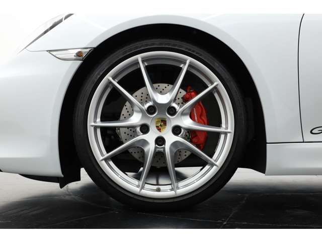 Porsche CAYMAN 2016-06 189726-4
