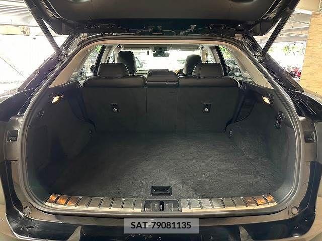 Lexus RX 2017-07 354154-18