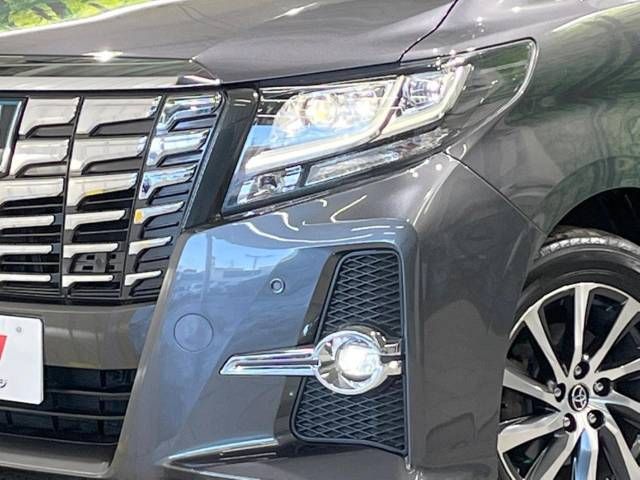 Toyota ALPHARD HYBRID 2017-10 196026-13