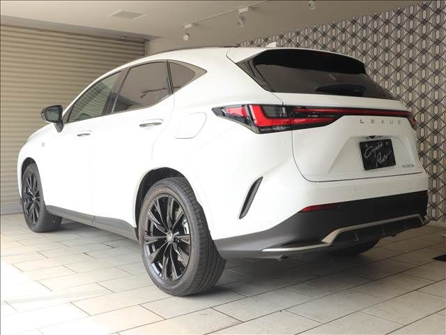 Lexus NX 2023-07 18655-1