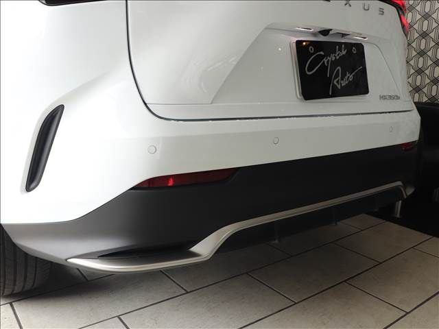 Lexus NX 2023-07 18655-18