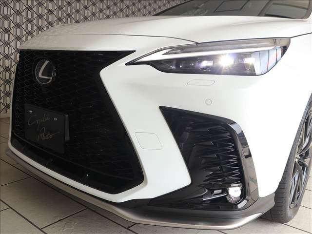 Lexus NX 2023-07 18655-14