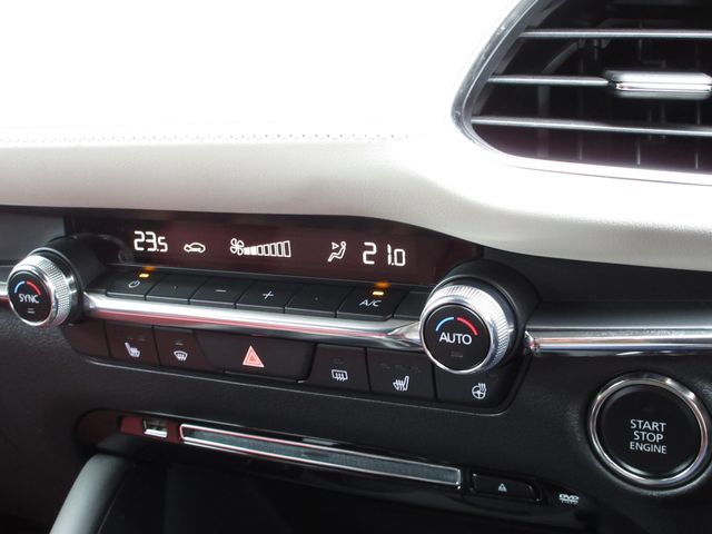 Mazda MAZDA3 2021-03 19154-15