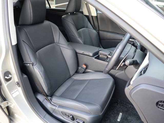 Lexus ES 2019-10 1258-8