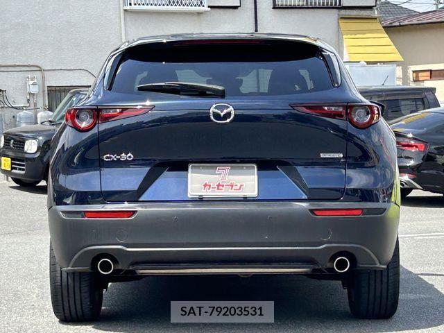 Mazda CX-30 2020-05 295906-5