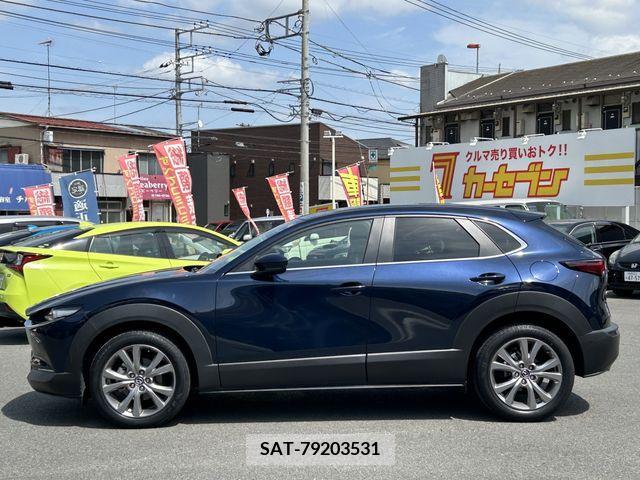 Mazda CX-30 2020-05 295906-7