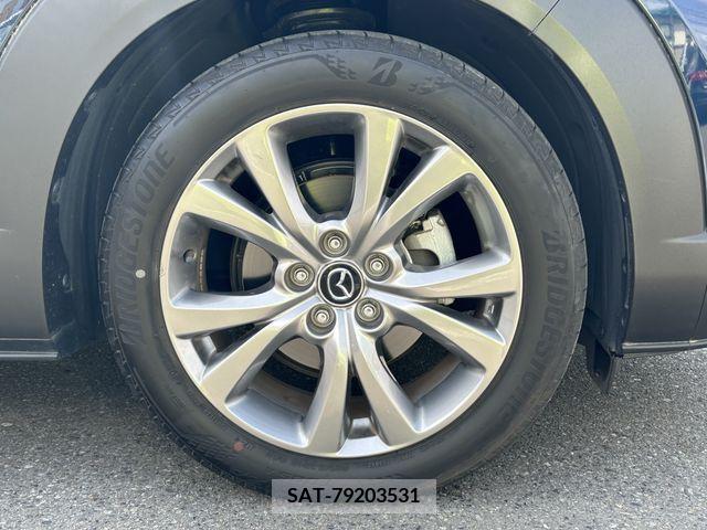 Mazda CX-30 2020-05 295906-19