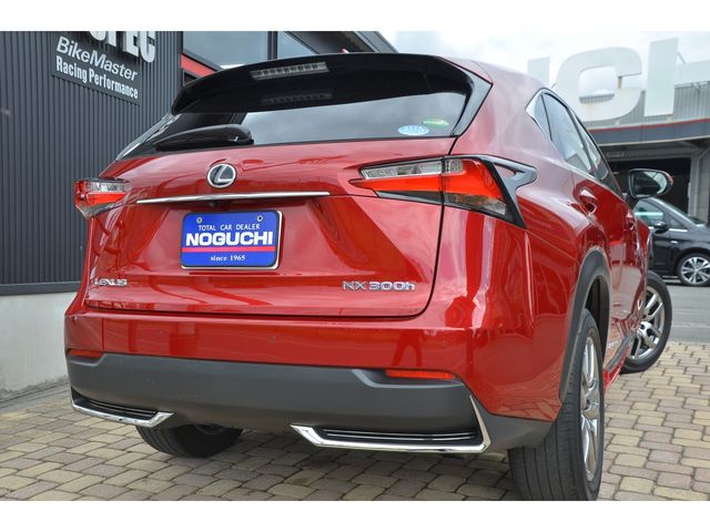 Lexus NX 2015-09 1866-4