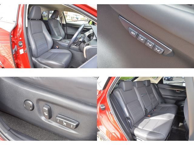 Lexus NX 2015-09 1866-29