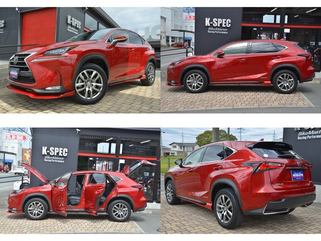 Lexus NX 2015-09 1866-25