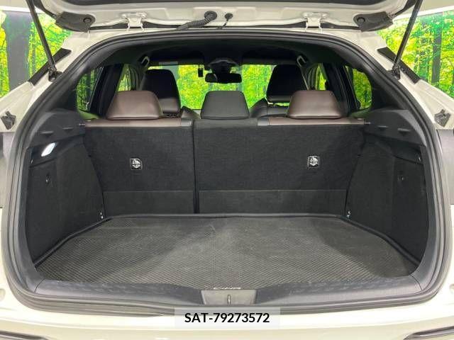 Toyota C-HR 2018-04 294861-10