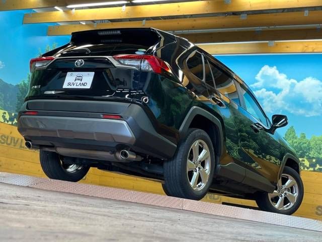 Toyota RAV4 2019-09 5583-19
