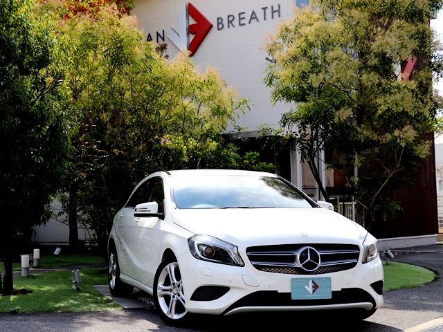 Mercedes Benz A-CLASS 2015-04 20738-0