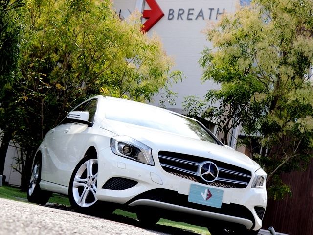 Mercedes Benz A-CLASS 2015-04 20738-3