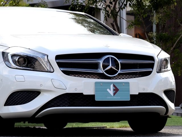 Mercedes Benz A-CLASS 2015-04 20738-7