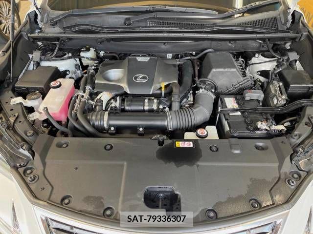 Lexus NX 2019-12 215661-18
