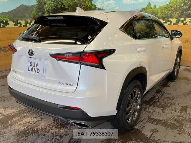 Lexus NX 2019-12 215661-17