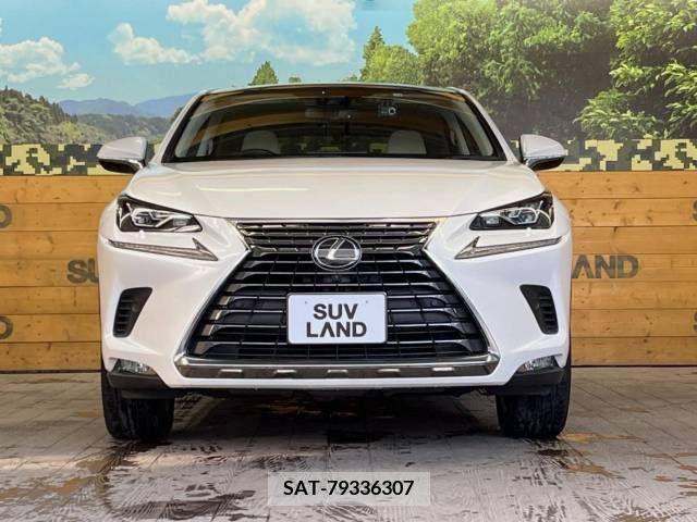 Lexus NX 2019-12 215661-14