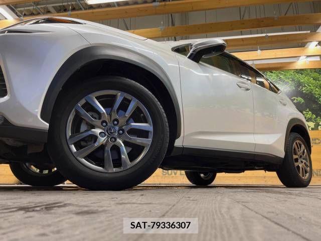 Lexus NX 2019-12 215661-13