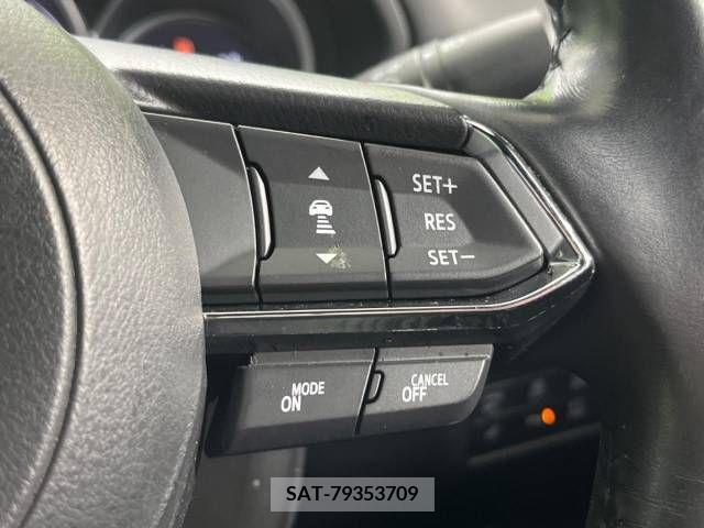 Mazda CX-8 2017-11 219568-4