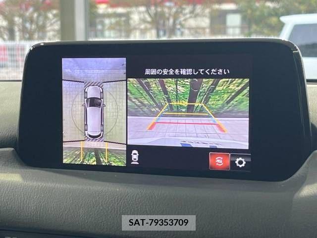 Mazda CX-8 2017-11 219568-3