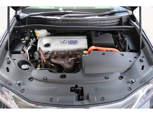 Lexus HS 2011-09 12100-22