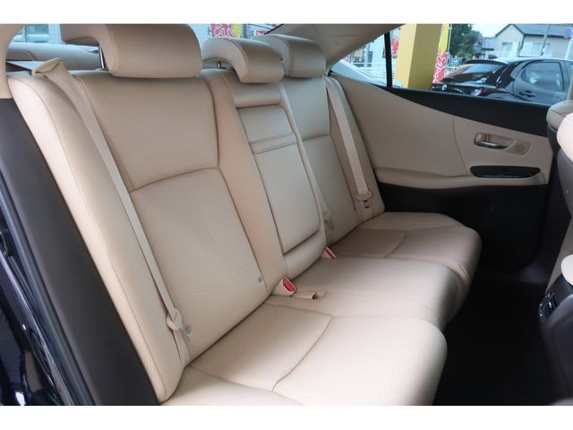 Lexus HS 2011-09 12100-26