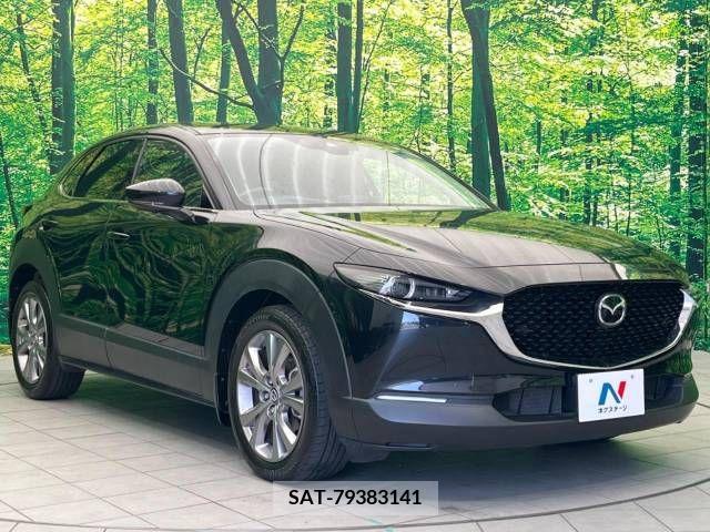 Mazda CX-30 2019-12 235444-17